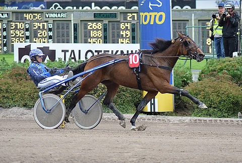 Laura Vixi varmistetaan ideasysteemissä.