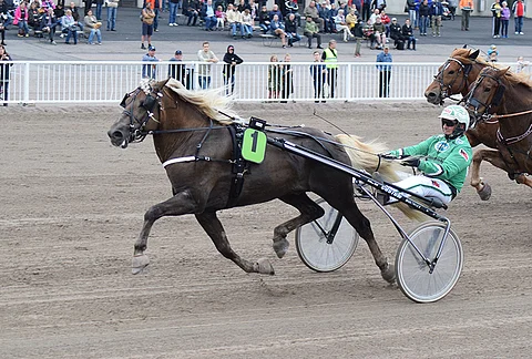 T.T. Avot joutuu jäämään pois Joensuun Ravilauantaista.