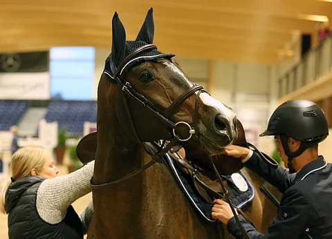 Silmät ovat sielun peili. Chardonnay Nahi.