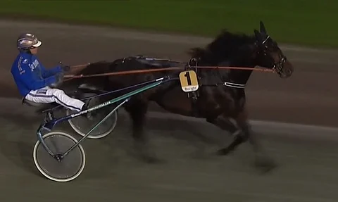 Araw Hoss palasi voittajaksi keskiviikkona Solvallassa. Kuva ATG Live