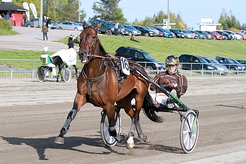 Ideavihjeen varmaa Cicciolina Sisua valmentaa Isto Kuisma. Kuva: Jarno Unkuri.