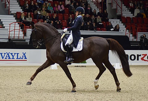 Duendecillo P viime syksynä Helsingissä.