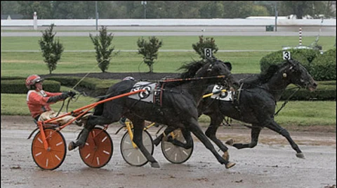 Snowstorm Hanover (3) veti pisimmän korren Kentucky Futurityssa sunnuntaina. Kuva Nigel Soult