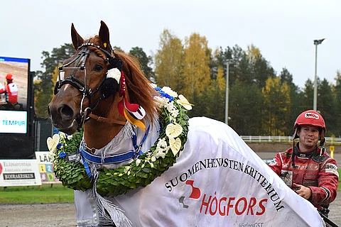 Vuosi sitten suomenhevosten kriteriumin voitti Vixus. Kuva: Roosa Lindholm.