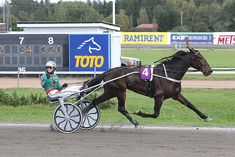 I'm Just A Sund on maistuva pelihevonen avauskohteeseen.