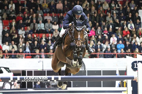 Ruotsalaiset estehevoset ovat kansaivälistä huipputasoa, nyt ne hyppäävät mukaan kriteriumhuutokauppaan. (Kuva: Totofoto)