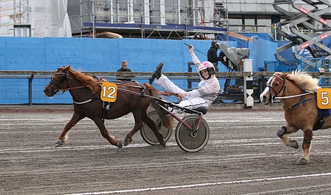 Elina Miettusen ja Pomonan voittotuuletus ponien Ruotsin mestaruusraveissa. Kuva Totofoto