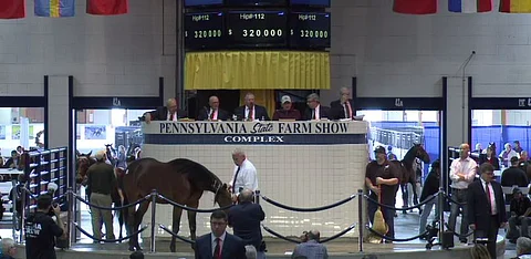 Numero 112 Sheer Muscle meni Mario Mazzalle 320.000 dollarin hinnalla.