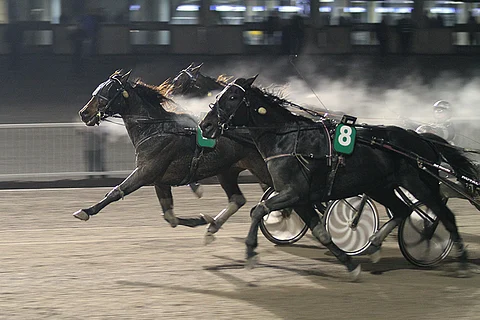 Mika Forssin ajokki Fakir Victory kuittasi lopussa ohi Laurila's Denethorin.