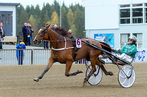Zeus Kemp ohjissaan Hannu Torvinen voitti hopeadivisioonan Forssan Toto76:ssa 30.9.2017.