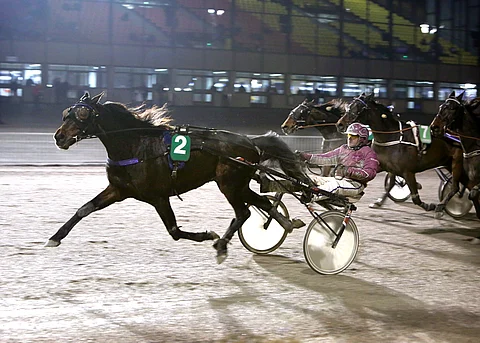 Arctic Shot irtosi keulasta helposti muista Toto65-avauksessa.