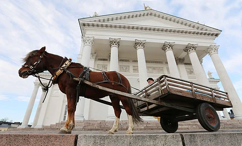 Jylhissä suomenhevonen 110 vuotta -tunnelmissa.