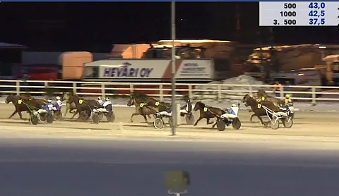 Numerolla 7 juossut Tosi innokas sai ohjastajaltaan kymmeniä käskyjä matkan varrella. Kuva: TotoTV