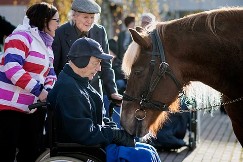 Ypäjä Tarja vierailulla Lamminniemen Hyvinvointikeskuksessa lokakuussa 2016. Satu Kapilo, Eino Paara ja Leo Sveg seurasivat hevosen olemusta. Kuva: Meeri Utti.