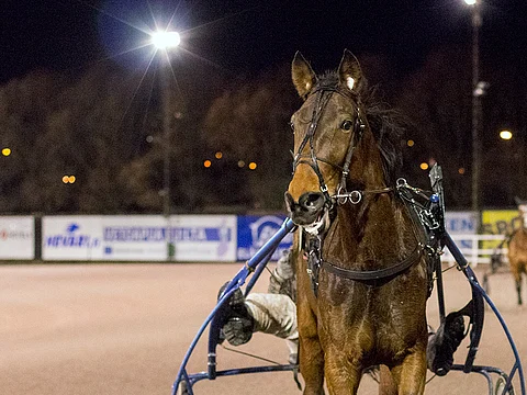 Laura Vixi vei itsenäisyyspäivänä T65-lähtönsä aikaan 13,8a.