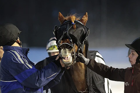 Tee Wee Paroni on nousemassa huippukuntoon.