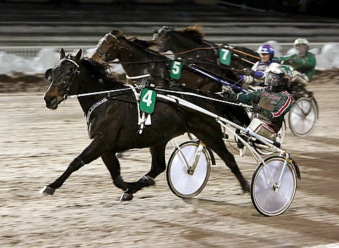 Grainfield Oliver on Vermon kestomenestyjä.
