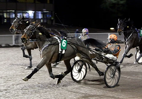 Seppo Juurisen edellinen lämminverivalmennettava oli Sacramento S, joka ravasi voiton Vermossa joulukuussa 2017 Tommi Kylliäisen ohjastamana. Kaikkiaan ruunan voittosarakkeeseen kertyi yhdeksän merkintää.