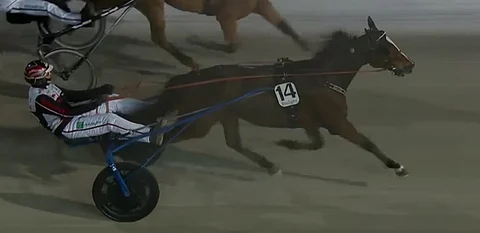 Evin Boko ja Mika Forss lipuvat ykköseksi. Kuva: ATG Live