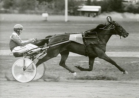 Stone Capes Beauty ja Ari Moilanen.