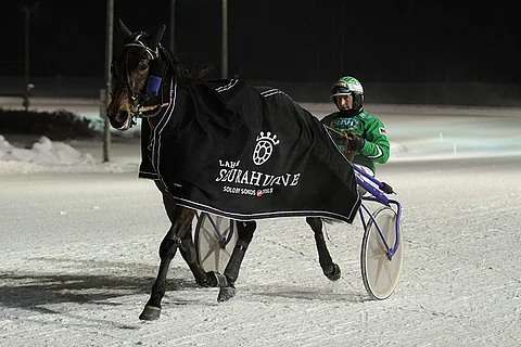 Ice Wine on voittanut tällä kaudella jo viidesti. Ari Moilanen on ajanut voitoista neljä.