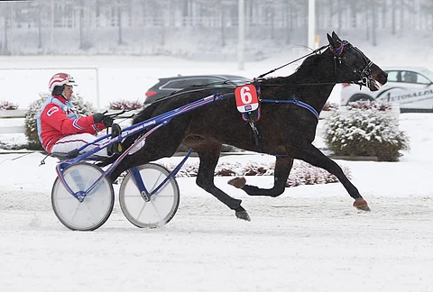 Jeppas Pointer ja Harri Koivunen Teivossa helmikuussa 2017.