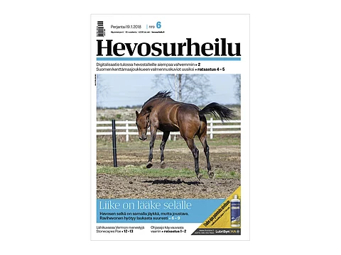 Kannen kuva: Ada Pykäläniemi.