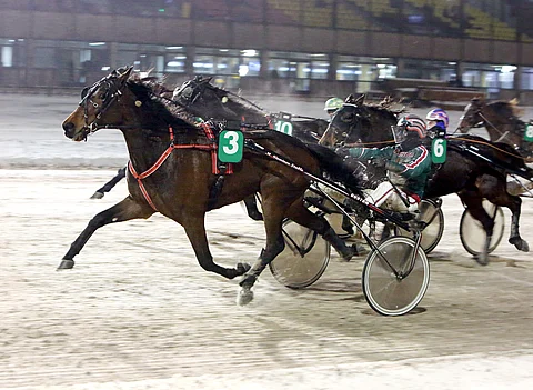 Mister Lane torjui lopussa uhkaajansa varmoin ottein.