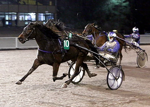 One For You on ideasysteemin toinen tukipilari.