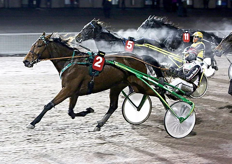 Mika Forss ajoi Didi Hossin voittoon.