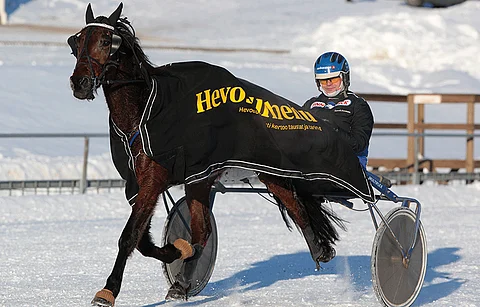 Samuli Innasen kuskaama Jack Vader voitti Hevosurheilu -lähdön Lappeessa.