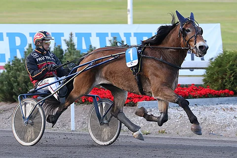 Tähtiheili ja Henri Bollström.