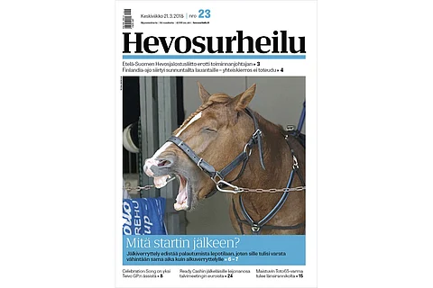 Kannen kuva: Roosa Lindholm.