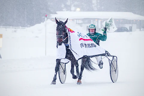 Lindy Poppin on Hevosurheilun ideavarma.