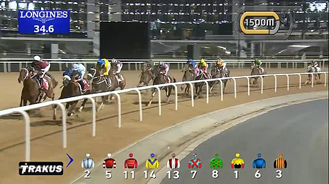 Meydanin laukkakilpailut lauantaina päättyvät keinovaloissa muovikuituhiekkaradalla juostavaan World Cupiin. Kuva videosta kilpailusta vuonna 2017.