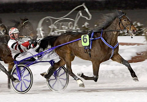 Kuvassa oleva MAS Aristocrat ja viidennen kohteen Wicasa Sioux saavat korkeiden prosenttiensa vuoksi kavereita ideasysteemiin, jonka varmaksi valikoituu Sweet Malkin.