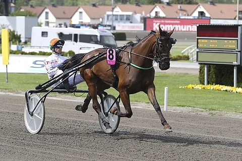 Billie de Montfort on miljoonan kruunun ykköspalkinnolla ravattavan Paralympiaravi-finaaliin mielenkiintoisin pelihevonen. Toto75-peliaika päättyy klo 17.20 Suomen aikaa.
