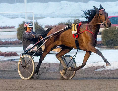 Callela Elizalla on hyvä mahdollisuus Kasvattajakruunun karsintavoittoon.