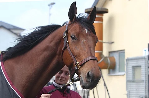 Dante Boko matkustaa Lutfi Kolgjini tallista Italiaan. Kuva Totofoto
