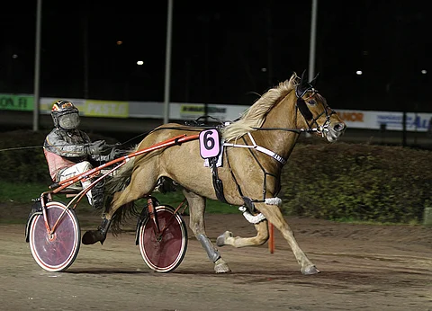 Juiseri pystyy nitistämään Larvan Hurmoksen ja kumppanit.