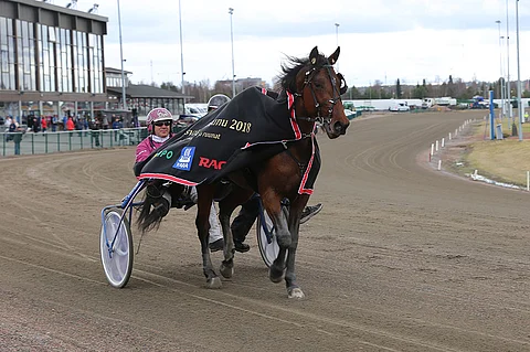 Le Gros Bill on illan T5-pelin suursuosikki Seinäjoella.