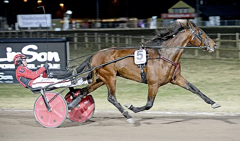 Pastore Bob sai Finlandiaan radan yksi.