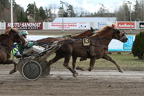 Tuviker on menestynyt usein pitkillä matkoilla, mutta Kouvolassa voitto tuli 2100 metrillä.