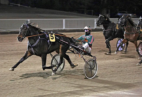 Gambino Degato on loistopaikaltaan oiva ideavarma Ouluun.