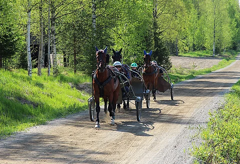 Huhtikuun sykähdyttävimmät ravihetket? Äänestä Kuukauden ravureita!