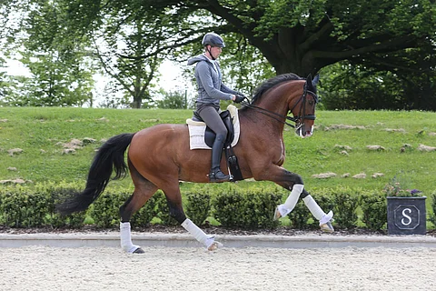 Henri Ruoste ja Roccabar kotitreeneissä.