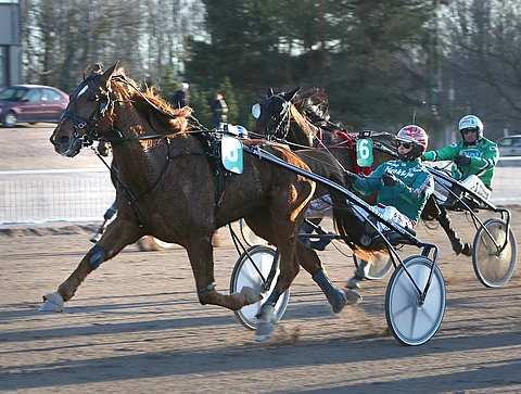 Hannu Torvisen ajama Tiger Ecus häikäisi Vermossa.