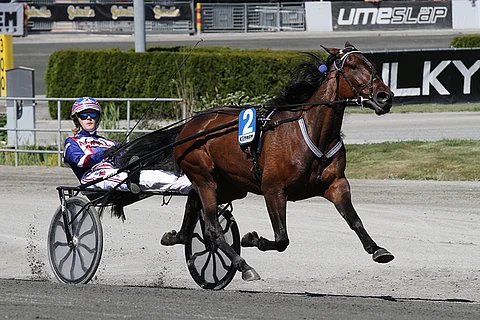 Olli Koivusen ajama Boadicea jää Magic Mondayn Toto65-varmaksi.