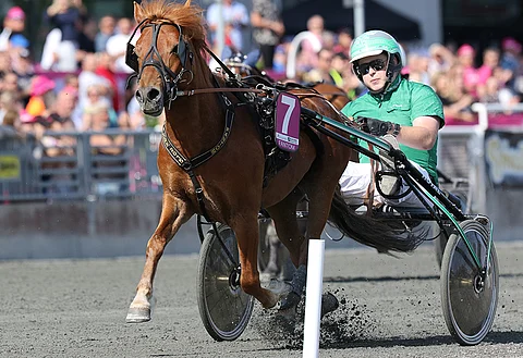Fantom laskettelee ylivoimaisena Lilla Elitloppetin voittoon neljättä kertaa. Patrik Franzénilla oli aikaa miettiä tuuletustaan.