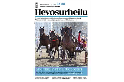 Pastore Bob hallitsi Finlandia-ajoa ja lunasti paikan Elitloppet-karsintaan. Kuva: Totofoto.